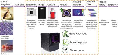 Fluidic Logic Used in a Systems Approach to Enable Integrated Single-Cell Functional Analysis